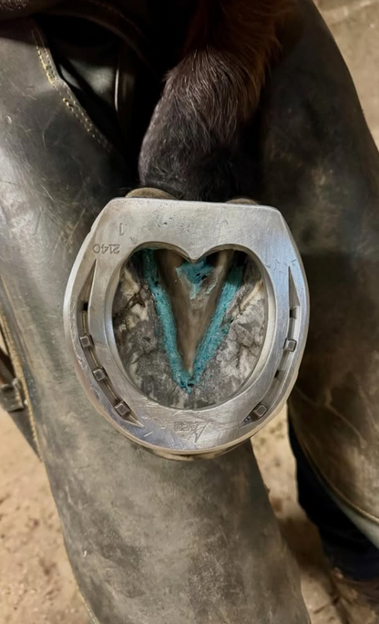 Tube HOOF DEFENDER avec embout canule — soin naturel de la fourchette et de la sole du cheval, ABEE HORSE